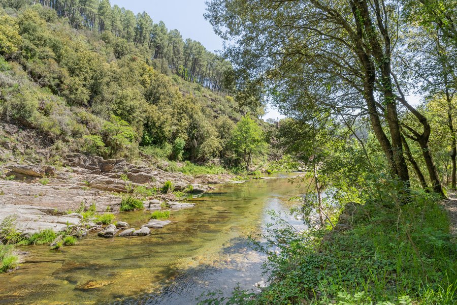 Domaine AbracadaRoom : Camping Le Moulin du Luech - Image 4