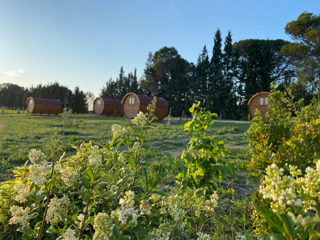 Échappée vigneronne à Pennautier (5)