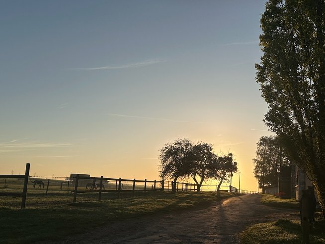 Domaine AbracadaRoom : Ecurie des prés hauts - Image 3