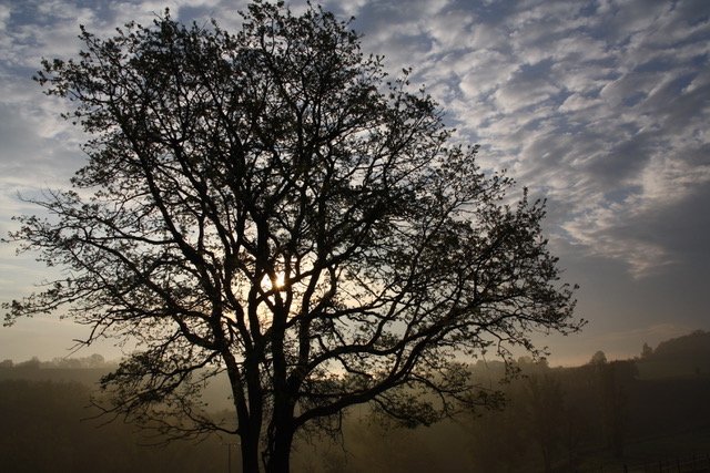 Domaine AbracadaRoom : Domaine Langelet - Image 2