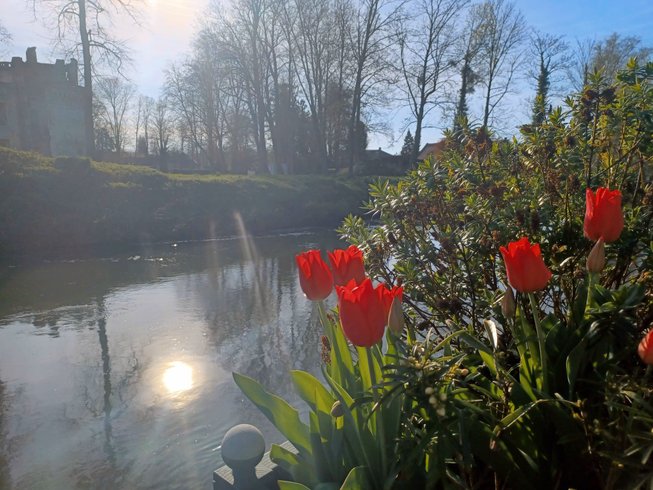 Domaine AbracadaRoom : Arche de Noé - Image 8