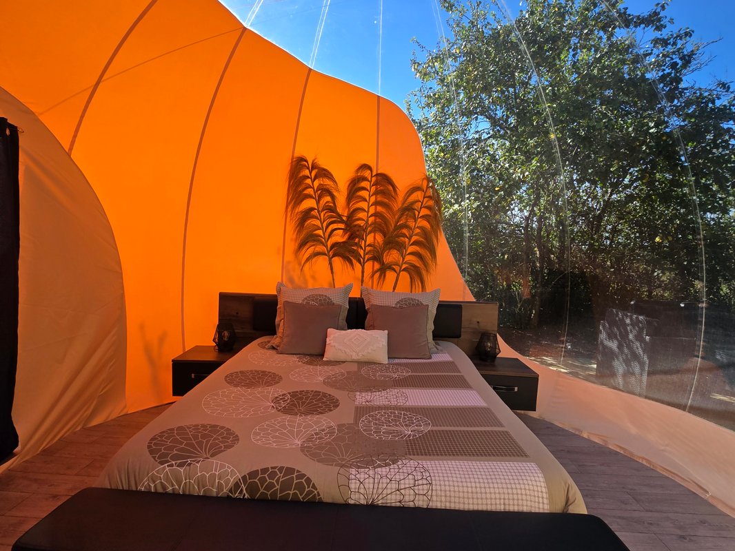 Dans ma Bulle & Spa à Rieumes (36)