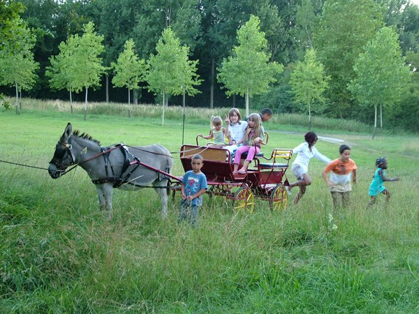 Domaine AbracadaRoom : Camping de la Trye - Image 4