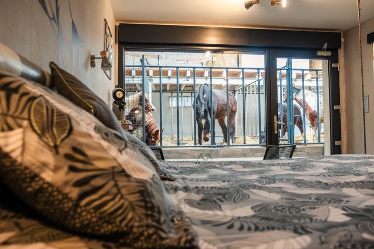 Hébergement AbracadaRoom : Lodge 2 - 4 pers. terrasse avec  des chevaux à votre chevet - Image 2