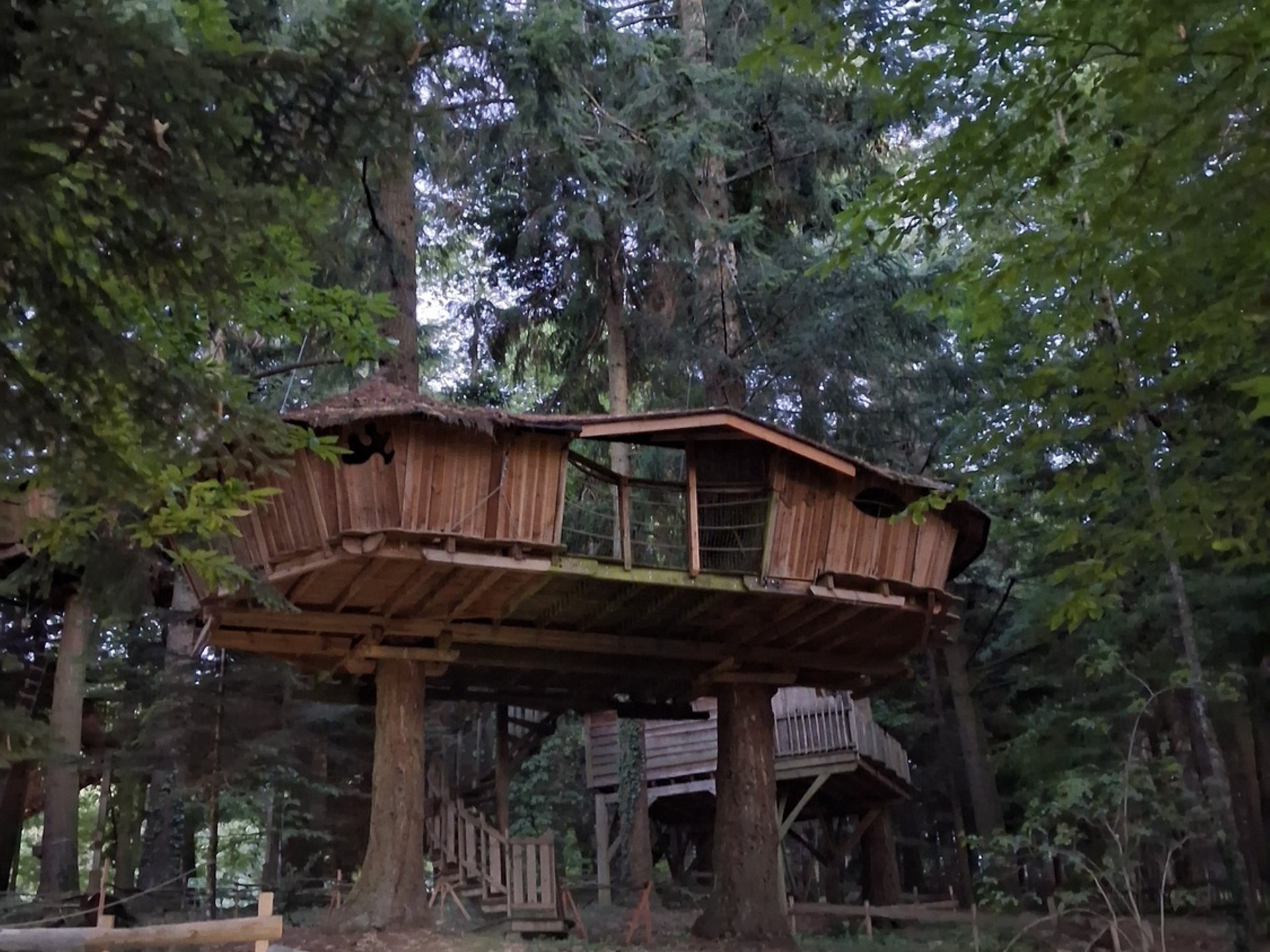 Cabane Castor