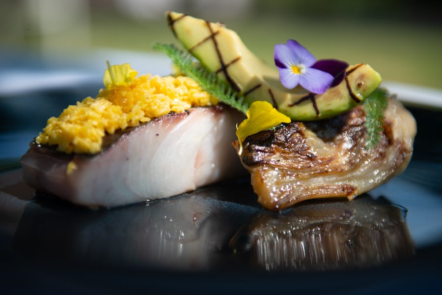 Hébergement AbracadaRoom : Lodge avec Terrasse Privative - Image 16