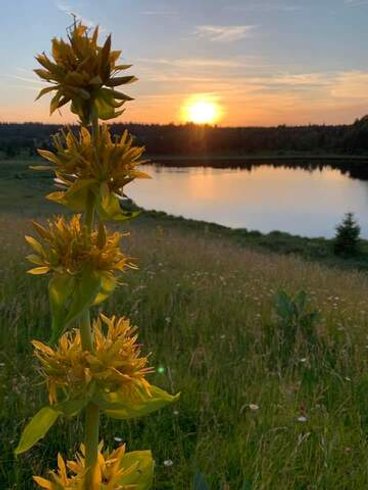 Hébergement AbracadaRoom : Les Logettes de Caroline, Ecolodge & Bain Nordique - Image 52