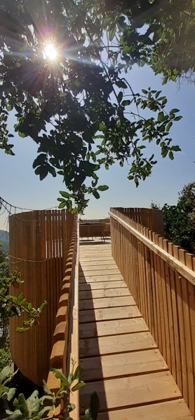 Hébergement AbracadaRoom : Cabane l'Albitru - Image 12