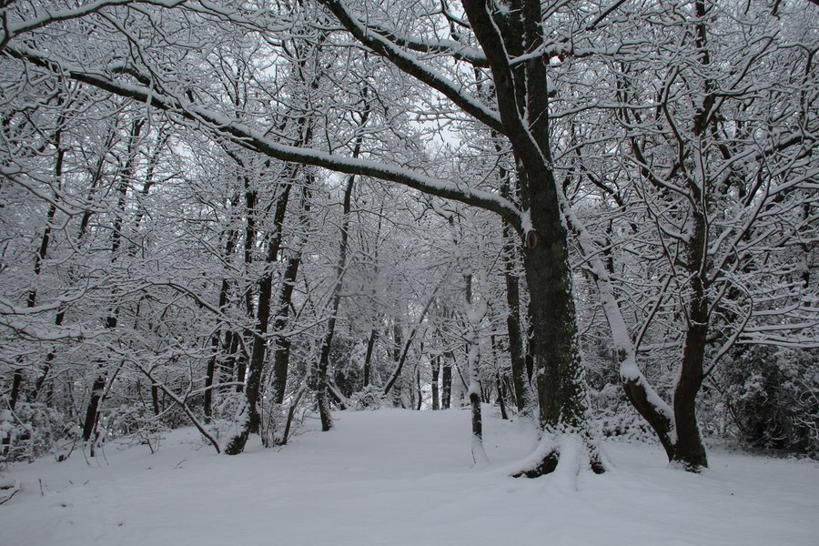 Domaine AbracadaRoom : Au Bois d'Escoumos - Image 17