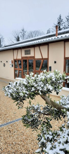 Domaine AbracadaRoom : Moulin de la brevette - Image 31