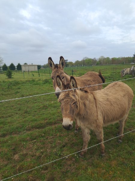 Domaine AbracadaRoom : Le Domaine du Temps Retrouvé - Image 4