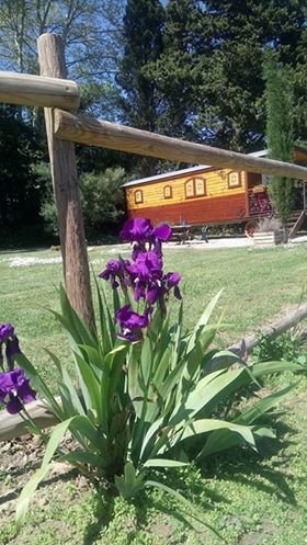 Hébergement AbracadaRoom : La Roulotte Spa bohème - Image 14