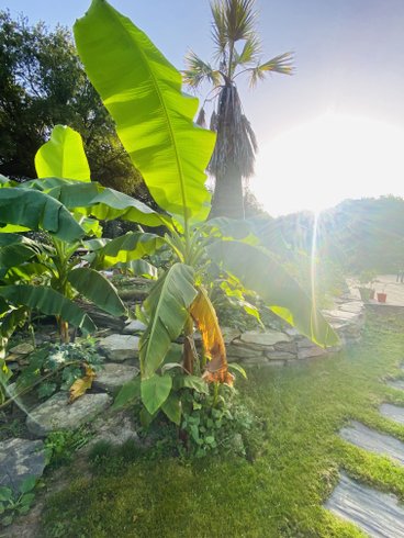 Hébergement AbracadaRoom : Le Repaire du dragon, château féérique avec SPA - Image 52