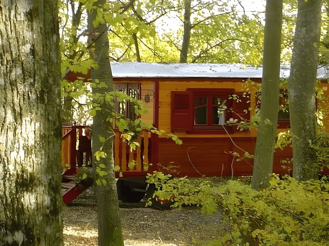 Hébergement AbracadaRoom : La Roulotte des Elfes - Image 4