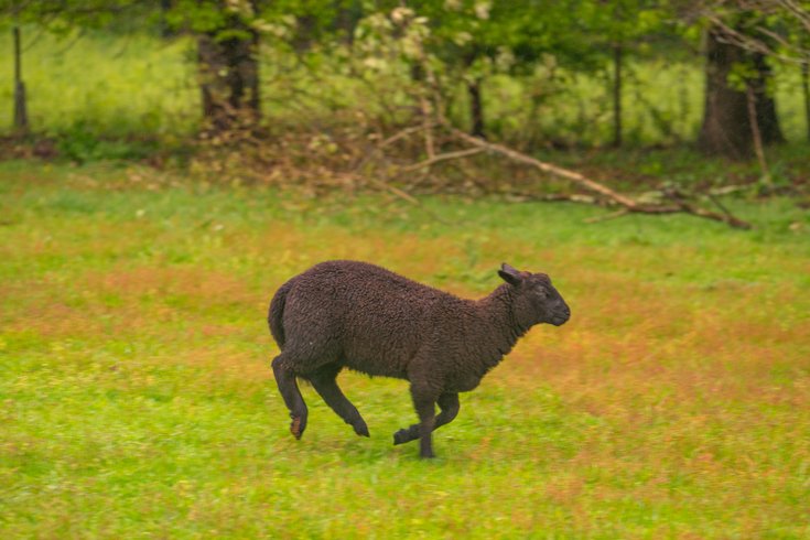 Domaine AbracadaRoom : Homnest (Mouliets) - Image 11