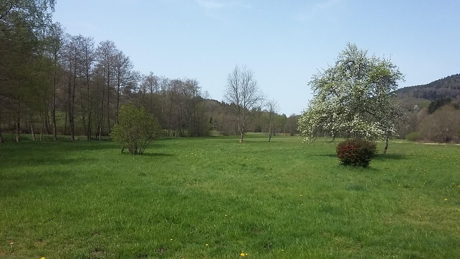 Domaine AbracadaRoom : Le Rêve de Charles - Image 2