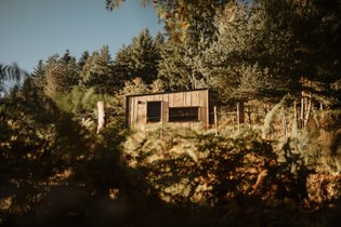 Homnest - L'Instant Sauvage - Vue Cimes & Forêt