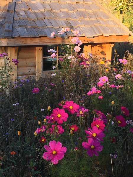 Domaine AbracadaRoom : Les Cambuses - Image 5