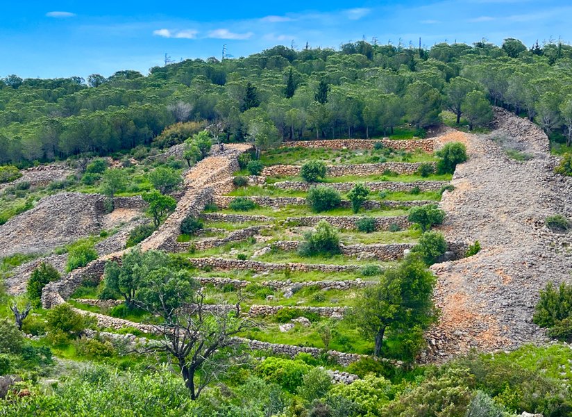 Domaine AbracadaRoom : Grotte romantique à FITOU - Image 16