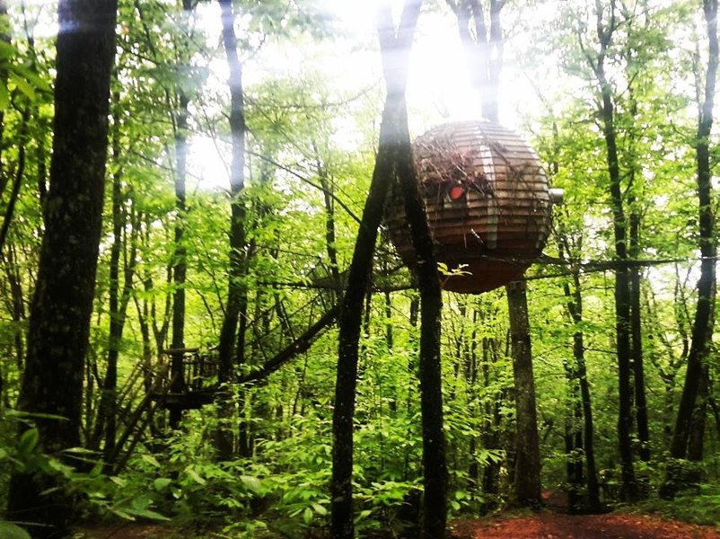 Hébergement AbracadaRoom : Lov'Branches - Image 2