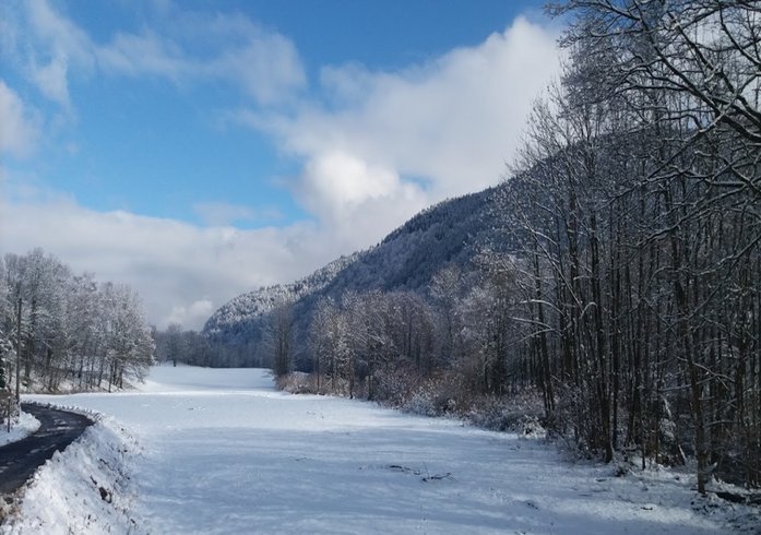 Domaine AbracadaRoom : NatureZenKota - Image 3