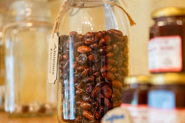 Hébergement AbracadaRoom : La Forêt Enchantée - Refuge au coeur du Vaucluse - Image 46