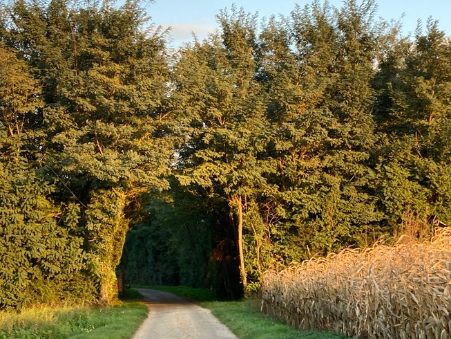 Domaine AbracadaRoom : La Petite Ferme des Vitoz - Image 3