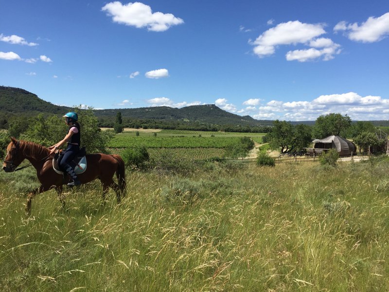 Domaine AbracadaRoom : L'Étrier des Cabanelles - Image 1