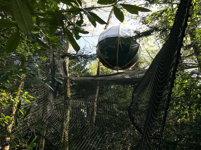Hébergement AbracadaRoom : Bulle suspendue dans les arbres Mars - Image 3
