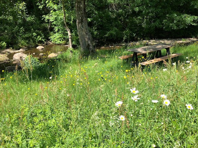 Domaine AbracadaRoom : The Enchanted River - Image 7