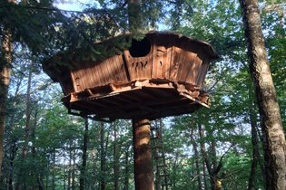 Cabane dans les arbres Ardèche