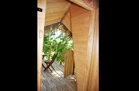 Hébergement AbracadaRoom : Dam'oiseaux - Image 13