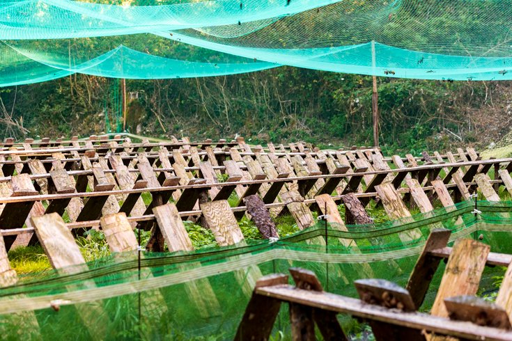 Domaine AbracadaRoom : Moulin Burignat - Image 3