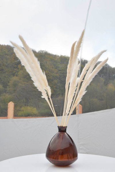 Hébergement AbracadaRoom : Bulle Ecureuil - Image 17