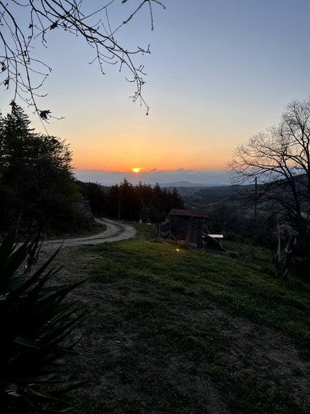 Domaine AbracadaRoom : Domaine Solio - Image 8