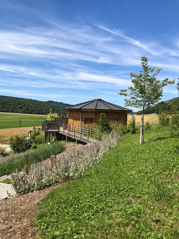 Cabane Douglas & Spa à Rothonay (4)
