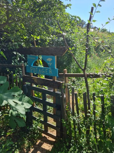 Domaine AbracadaRoom : La mauvaise herbe - Image 2