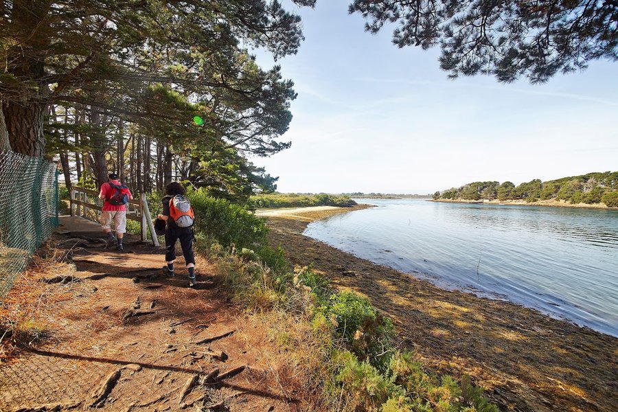 Domaine AbracadaRoom : Ecolodge Charles Ashton - Image 13