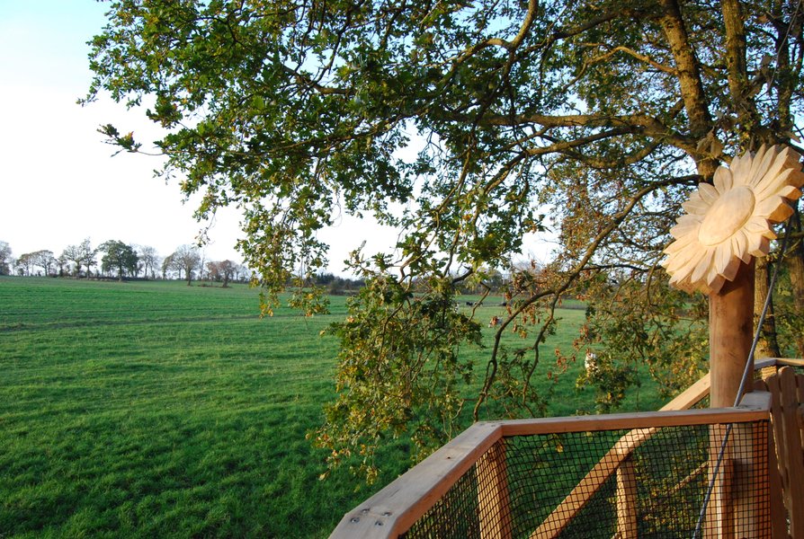 Hébergement AbracadaRoom : Cabane Butterfly - Image 8