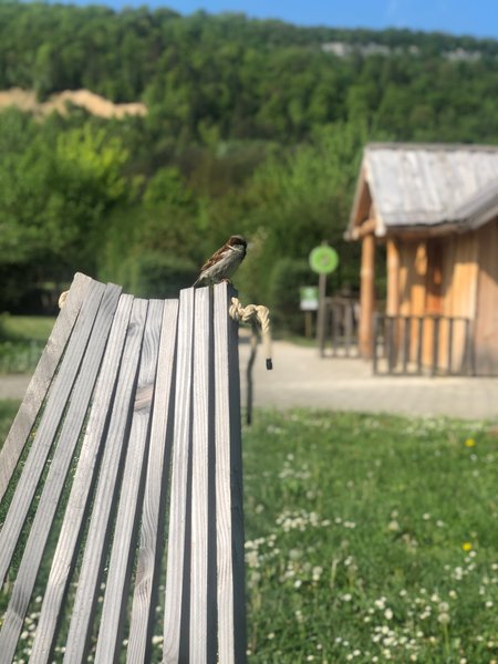 Domaine AbracadaRoom : Camping La Roche D'Ully**** - Image 13