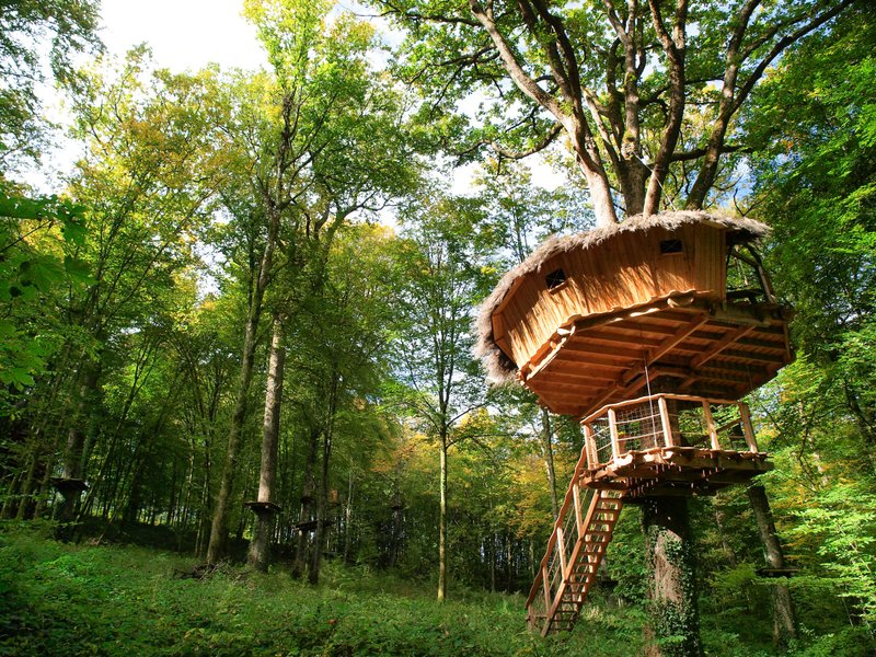 Domaine AbracadaRoom : L'Arbre à Cabane - Image 1