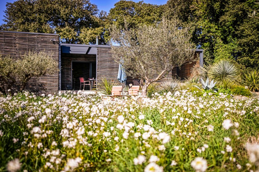 Domaine AbracadaRoom : L'ASPHODELE LA CABANE CHIC - Image 1