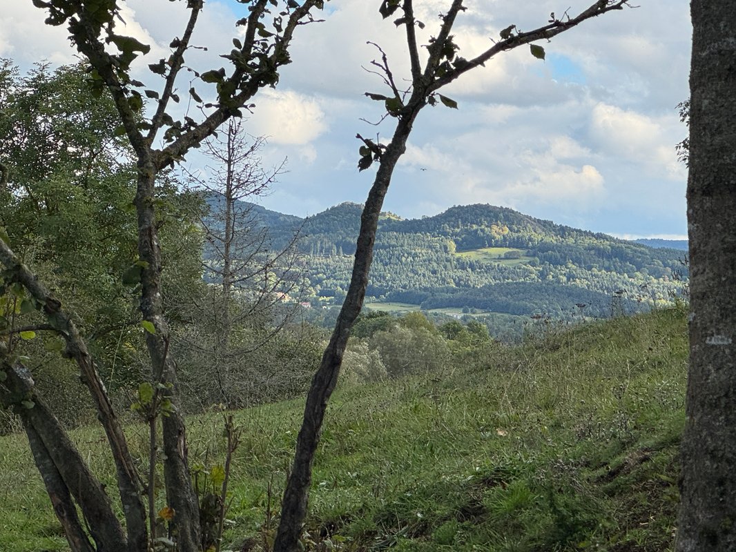 La Clairière de Peylenc - Refuge en Velay à Saint-Pierre-Eynac (15)