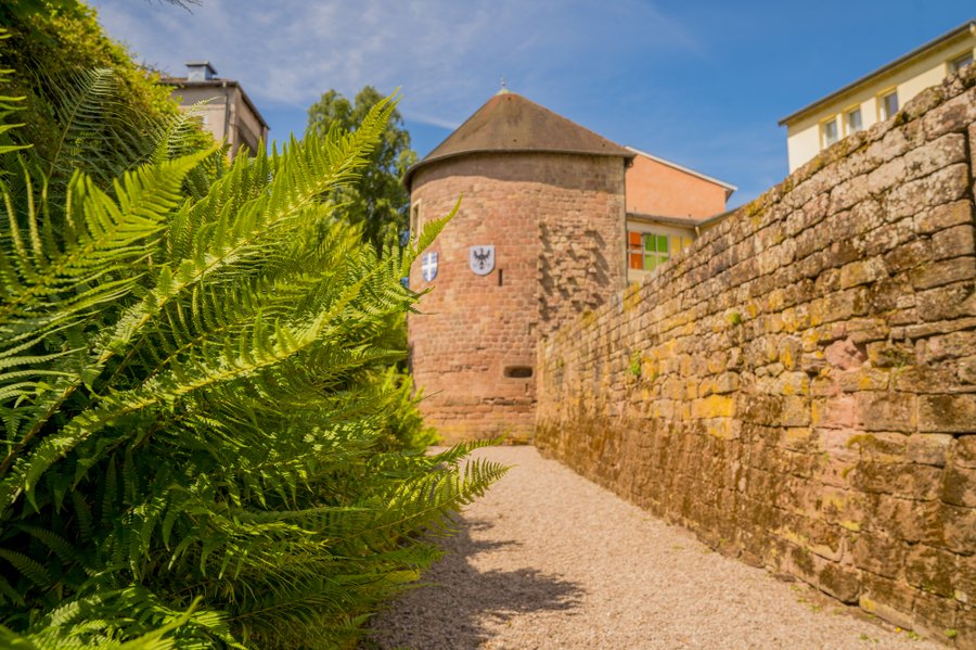 Domaine AbracadaRoom : Homnest (Uzemain) - Image 19