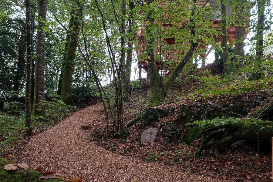 La Cabane Perchée — photo 2