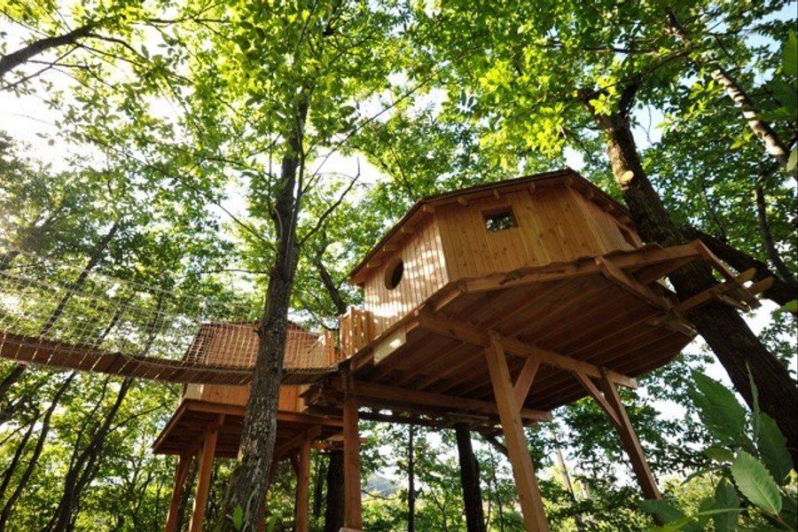 Cabane du Haut — photo 2