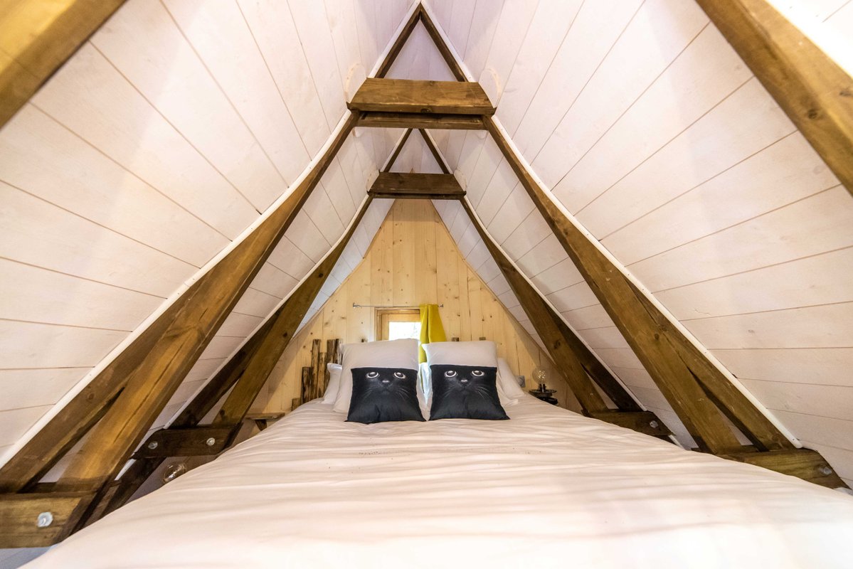 Cabane avec Spa "Cartoon" à Lamothe-Fénelon (7)