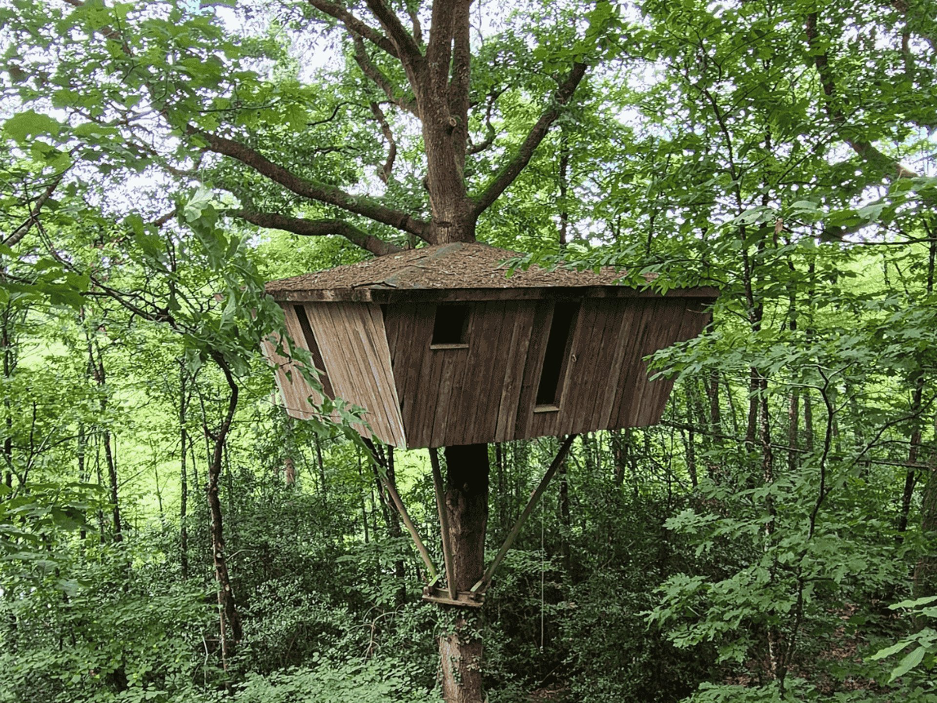 Cabane Hulotte
