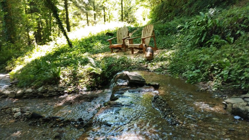 Domaine AbracadaRoom : Terra Bosca - Image 4