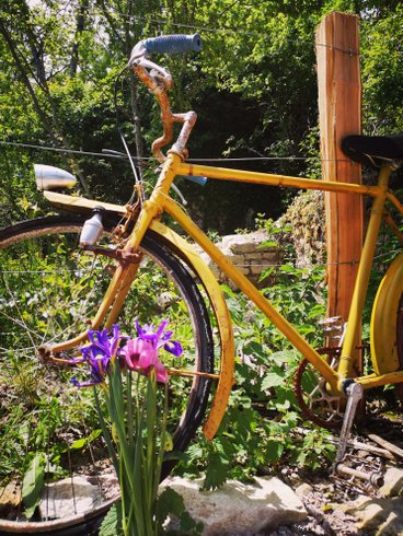 Domaine AbracadaRoom : Roulotte et Forêt : Evasion bohème en Bourgogne - Image 15